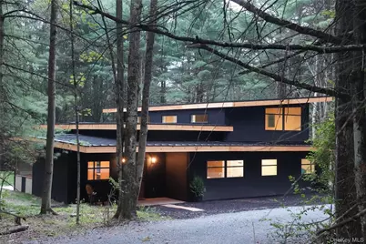 233 Goldsmith Road, Jeffersonville, NY 12748 - Photo 1