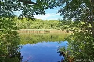 72 Lakeside Rd, Mahopac, NY 10541 - Photo 27