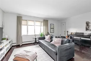 41 Jackson Ave, Mineola, NY 11501 - Photo 13