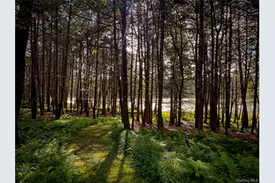 72 Black Lake Road, Bethel, NY 12786 - Photo 9