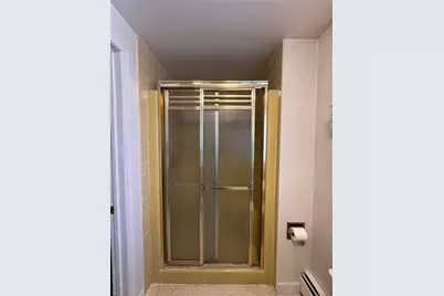 36 Jones Street, Cairo, NY 12413 - Photo 19