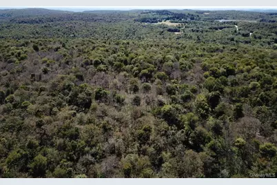 64 Schleiremacher, Livingston Manor, NY 12758 - Photo 33