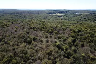 64 Schleiremacher, Livingston Manor, NY 12758 - Photo 33