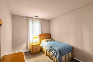 58 Rhoda Ave, Smithtown, NY 11787 - Photo 23