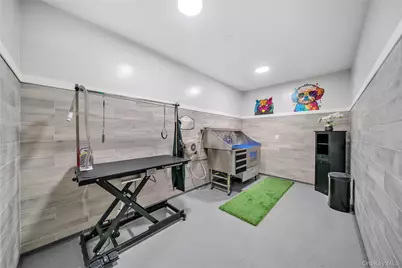 101 Searing Avenue #408, Mineola, NY 11501 - Photo 17