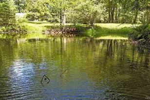 178 W Simmon Rd, Callicoon, NY 12723 - Photo 5