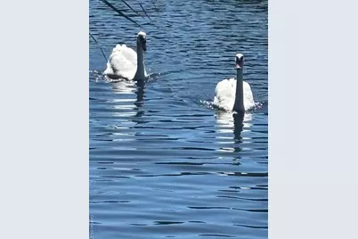 36 Roosevelt Boulevard, Patchogue, NY 11772 - Photo 47