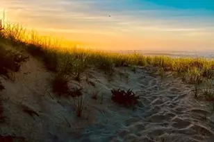 2178 Montauk, Amagansett, NY 11930 - Photo 7