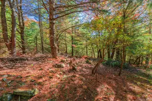 988 Co Rte 31, Glen Spey, NY 12737 - Photo 7