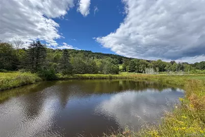 104 William Herbert Road, Obernburg, NY 12736 - Photo 37