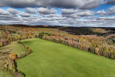 104 William Herbert Road, Obernburg, NY 12736 - Photo 33