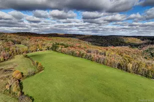 104 William Herbert Rd, Obernburg, NY 12736 - Photo 33