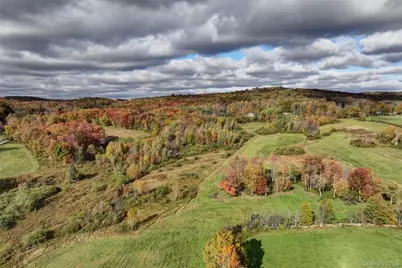 104 William Herbert Road, Obernburg, NY 12736 - Photo 29