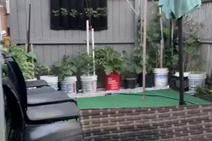 175-08 93rd Ave, Hollis, NY 11433 - Photo 17