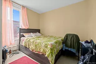 515 E 26th St, Brooklyn, NY 11210 - Photo 15