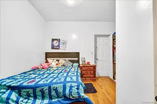 255 Ridgewood Ave, Brooklyn, NY 11208 - Photo 15