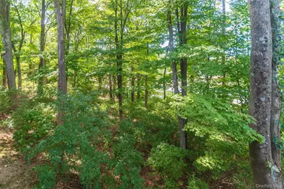 258 Village Court, Kingston, NY 12401 - Photo 39