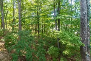 258 Village Ct, Kingston, NY 12401 - Photo 39