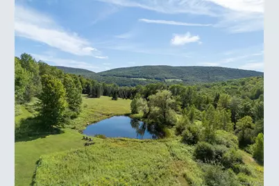 60 Alder Creek Road, Livingston Manor, NY 12758 - Photo 1