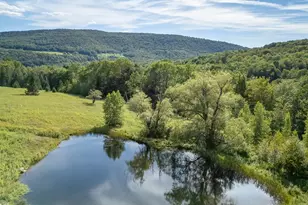 60 Alder Creek Rd, Livingston Manor, NY 12758 - Photo 15