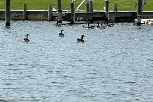 151 Fair Harbor Dr, Patchogue, NY 11772 - Photo 19