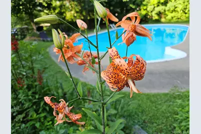 597 Route 212, Saugerties, NY 12477 - Photo 5