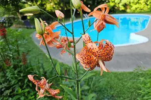 597 Route 212, Saugerties, NY 12477 - Photo 5