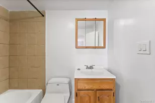 376 Hunnewell Ave, Elmont, NY 11003 - Photo 19