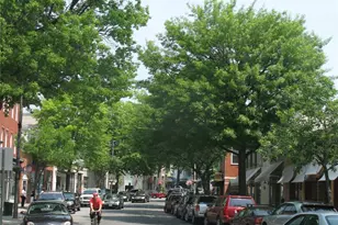 21 Thorne Pl, Rye, NY 10580 - Photo 9