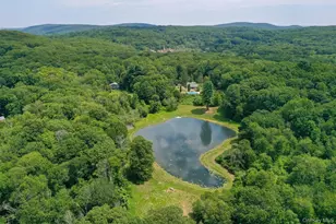 31 Blueberry Ln, Stormville, NY 12582 - Photo 3