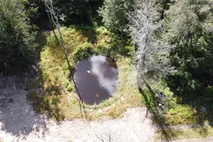 226 Goff Rd, Livingston Manor, NY 12758 - Photo 13