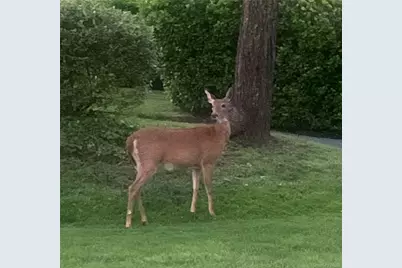 37 Harbor Lane #2A, New Rochelle, NY 10805 - Photo 23