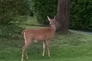 37 Harbor Ln, New Rochelle, NY 10805 - Photo 23