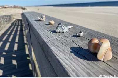 257 E Olive Street, Long Beach, NY 11561 - Photo 33