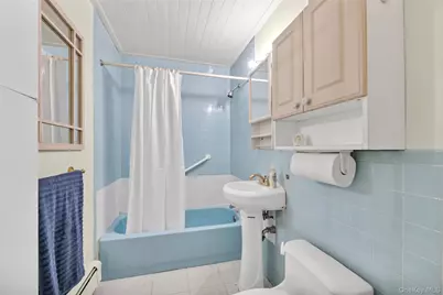 253 Raff Avenue, Carle Place, NY 11514 - Photo 9