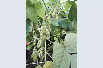 247 Croydon Road, Yonkers, NY 10710 - Photo 39