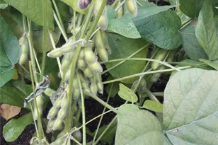 247 Croydon Rd, Yonkers, NY 10710 - Photo 39