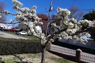 247 Croydon Rd, Yonkers, NY 10710 - Photo 47