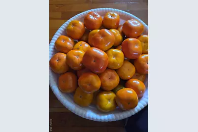 247 Croydon Road, Yonkers, NY 10710 - Photo 45