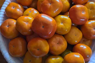 247 Croydon Rd, Yonkers, NY 10710 - Photo 45