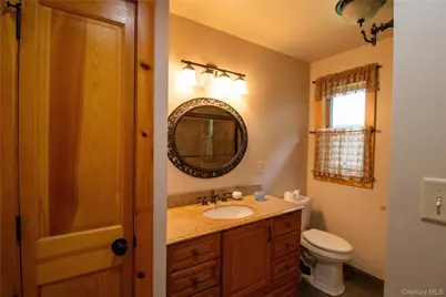 384 Morton Hill Road, Roscoe, NY 12776 - Photo 21