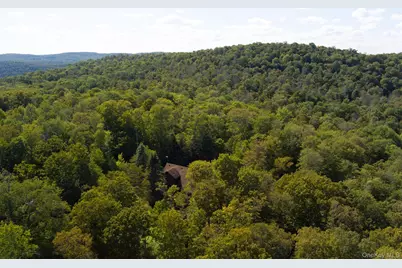 85 Maccabee Road, Roscoe, NY 12776 - Photo 3