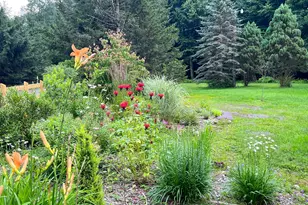 20 Saw Mill Rd, Claryville, NY 12725 - Photo 31