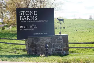 43 Putnam Ave, Tarrytown, NY 10591 - Photo 31