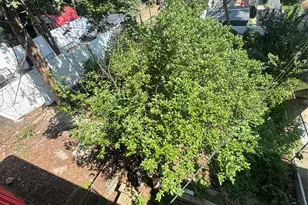 1017 E 229 Street Bronx, Bronx, NY 10466 - Photo 9