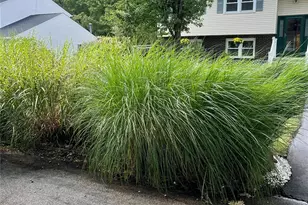 33 Island View Ave, Monroe, NY 10950 - Photo 45