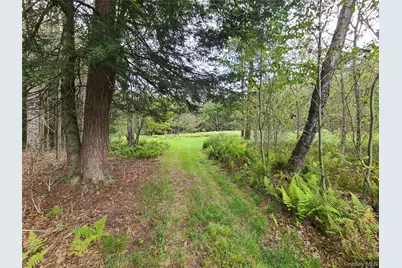 82 Benton Hollow Road, Liberty, NY 12754 - Photo 5