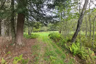 82 Benton Hollow Rd, Liberty, NY 12754 - Photo 5