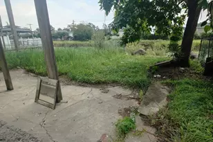 256-20 Craft Ave, Rosedale, NY 11422 - Photo 19