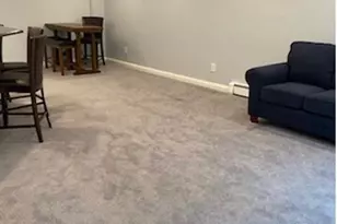 320 E Shore Rd, Great Neck, NY 11023 - Photo 27